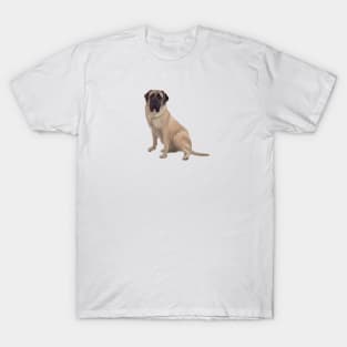 A Fawn Colored English Bull Mastiff - just the dog T-Shirt